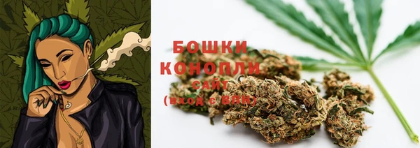 ECSTASY Магас