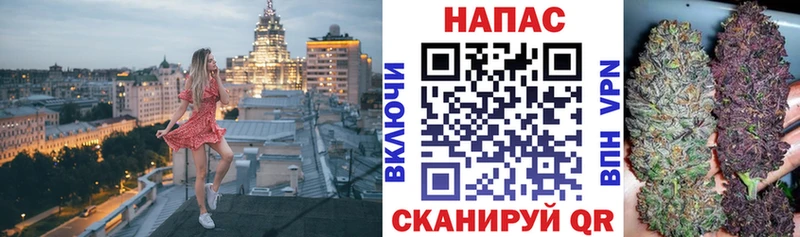 продажа наркотиков  shop Telegram  Марихуана конопля  Шлиссельбург 